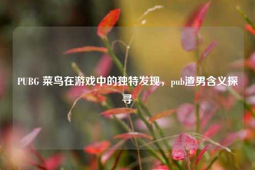 PUBG 菜鸟在游戏中的独特发现，pub渣男含义探寻