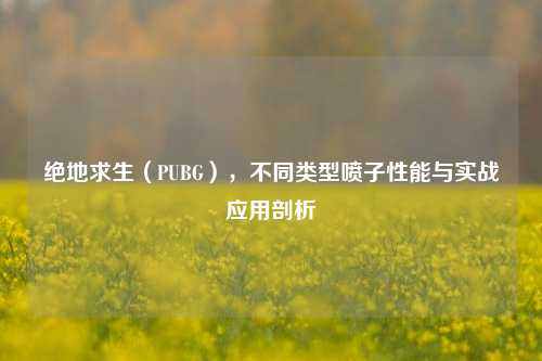 绝地求生（PUBG），不同类型喷子性能与实战应用剖析