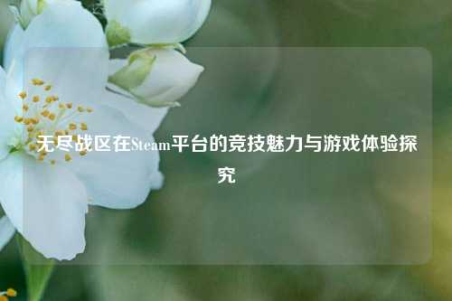 无尽战区在Steam平台的竞技魅力与游戏体验探究