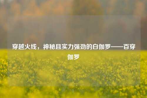 穿越火线，神秘且实力强劲的白伽罗——百穿伽罗