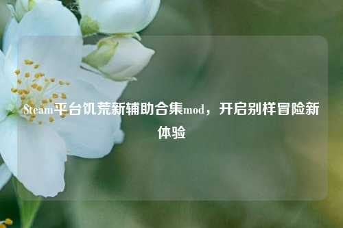 Steam平台饥荒新辅助合集mod，开启别样冒险新体验