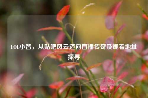 LOL小智，从贴吧风云迈向直播传奇及观看地址探寻