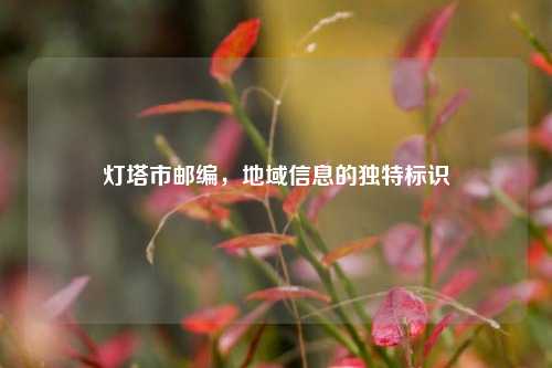 灯塔市邮编，地域信息的独特标识