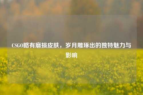 CSGO略有磨损皮肤，岁月雕琢出的独特魅力与影响