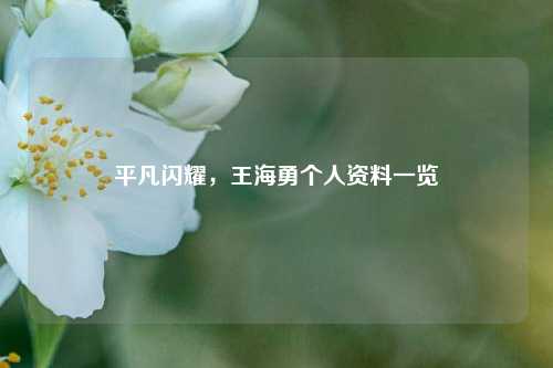 平凡闪耀，王海勇个人资料一览