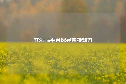 在Steam平台探寻独特魅力
