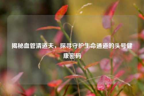 揭秘血管清道夫，探寻守护生命通道的头号健康密码