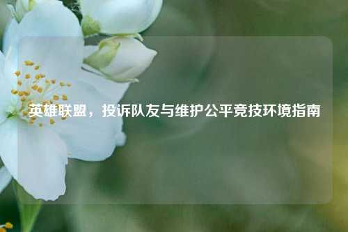 英雄联盟，投诉队友与维护公平竞技环境指南