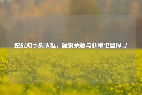 逆战助手战队框，凝聚荣耀与获取位置探寻