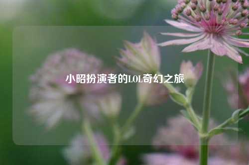 小昭扮演者的LOL奇幻之旅