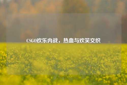 CSGO欢乐内战，热血与欢笑交织
