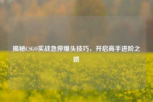 揭秘CSGO实战急停爆头技巧，开启高手进阶之路
