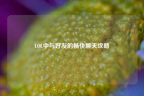 LOL中与好友的畅快聊天攻略