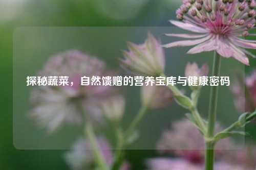 探秘蔬菜，自然馈赠的营养宝库与健康密码