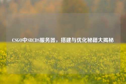 CSGO中SRCDS服务器，搭建与优化秘籍大揭秘