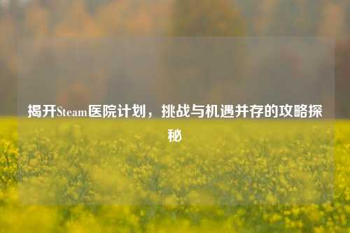揭开Steam医院计划，挑战与机遇并存的攻略探秘