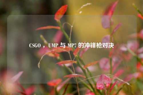 CSGO ，UMP 与 MP7 的冲锋枪对决