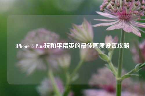 iPhone 8 Plus玩和平精英的最佳画质设置攻略