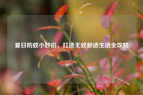 夏日防蚊小妙招，打造无蚊舒适生活全攻略