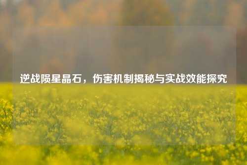 逆战陨星晶石，伤害机制揭秘与实战效能探究