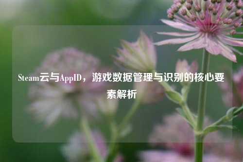 Steam云与AppID，游戏数据管理与识别的核心要素解析