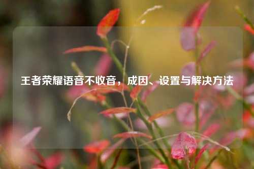王者荣耀语音不收音，成因、设置与解决方法