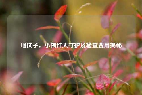 咽拭子，小物件大守护及检查费用揭秘