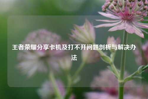 王者荣耀分享卡机及打不开问题剖析与解决办法