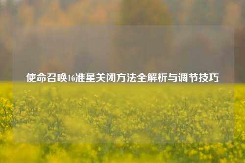 使命召唤16准星关闭方法全解析与调节技巧