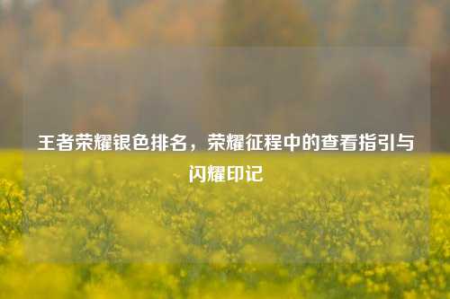 王者荣耀银色排名，荣耀征程中的查看指引与闪耀印记