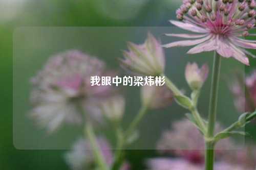 我眼中的梁炜彬