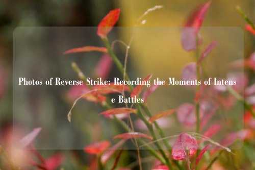 Photos of Reverse Strike: Recording the Moments of Intense Battles