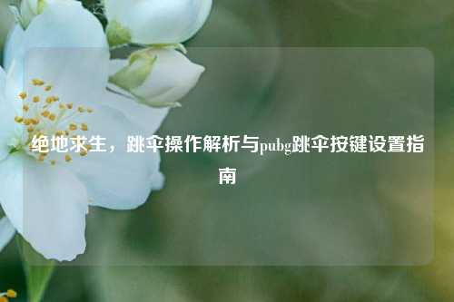 绝地求生，跳伞操作解析与pubg跳伞按键设置指南