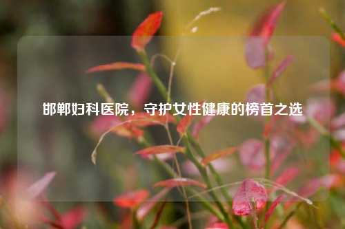 邯郸妇科医院，守护女性健康的榜首之选