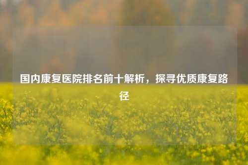 国内康复医院排名前十解析,探寻优质康复路径