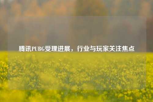 腾讯PUBG受理进展，行业与玩家关注焦点