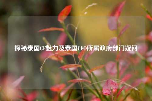 探秘泰国CF魅力及泰国CFO所属政府部门疑问
