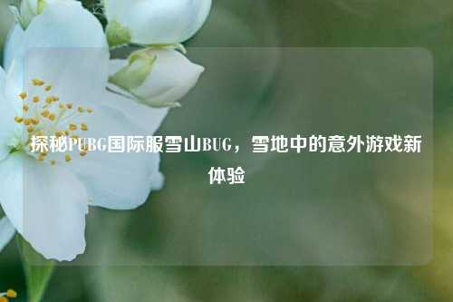 探秘PUBG国际服雪山BUG，雪地中的意外游戏新体验
