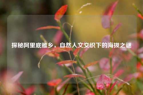 探秘阿里底雅乡，自然人文交织下的海拔之谜
