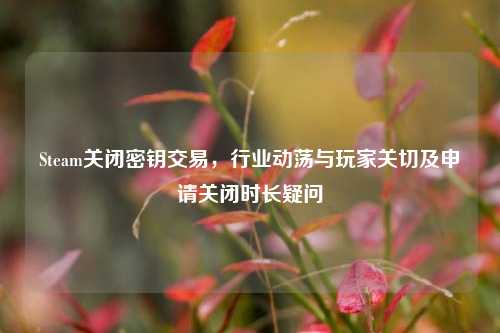 Steam关闭密钥交易，行业动荡与玩家关切及申请关闭时长疑问