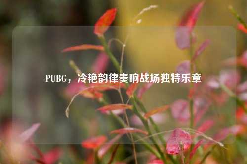 PUBG，冷艳韵律奏响战场独特乐章