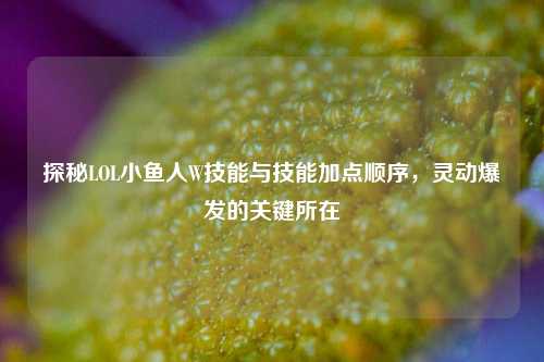 探秘LOL小鱼人W技能与技能加点顺序，灵动爆发的关键所在