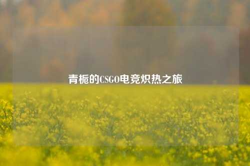青栀的CSGO电竞炽热之旅