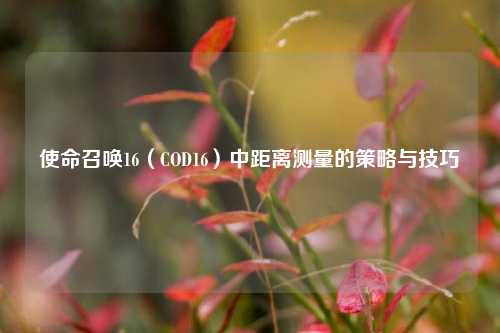 使命召唤16（COD16）中距离测量的策略与技巧