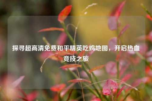探寻超高清免费和平精英吃鸡地图，开启热血竞技之旅