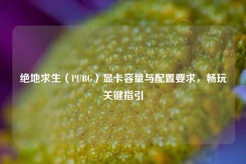 绝地求生（PUBG）显卡容量与配置要求，畅玩关键指引