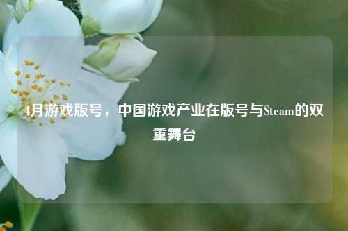 4月游戏版号，中国游戏产业在版号与Steam的双重舞台