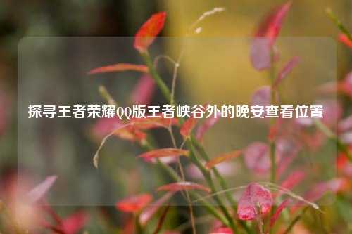 探寻王者荣耀QQ版王者峡谷外的晚安查看位置