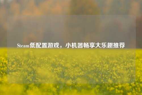 Steam低配置游戏，小机器畅享大乐趣推荐