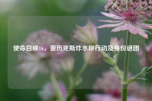 使命召唤16，亚历克斯炸水坝行动及身份谜团